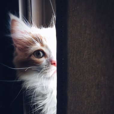 Tierambulatorium Zirl Tierambulatorium Zirl